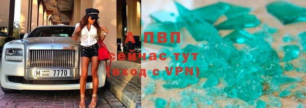 гидра Ветлуга