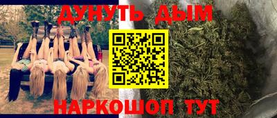 СК Краснодар
