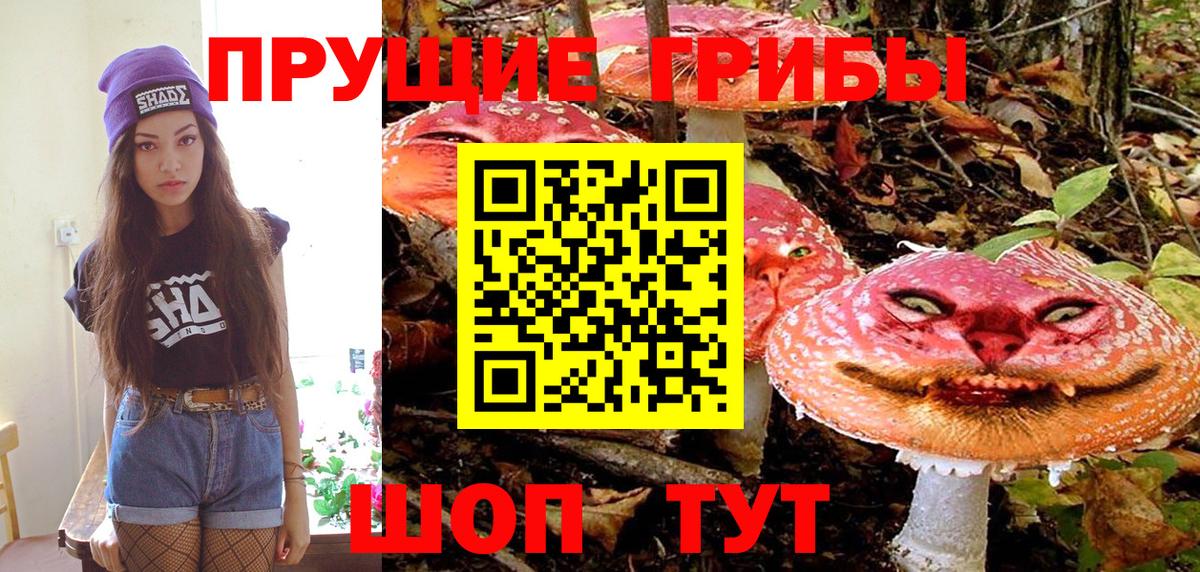 Псилоцибиновые грибы Cubensis  Вход с VPN  Янаул 